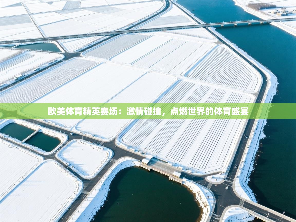 欧美体育精英赛场：激情碰撞，点燃世界的体育盛宴  第2张