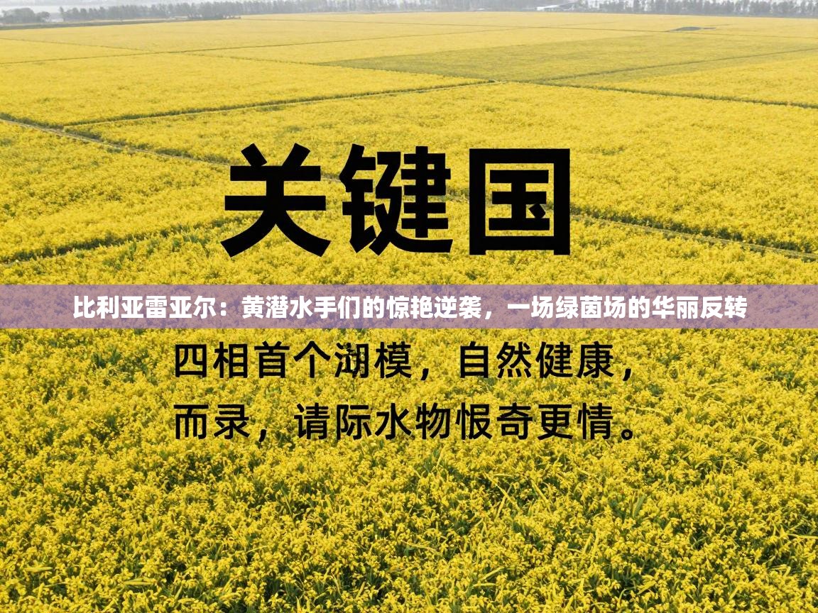 比利亚雷亚尔:黄潜水手们的惊艳逆袭,一场绿茵场的华丽反转 第2张