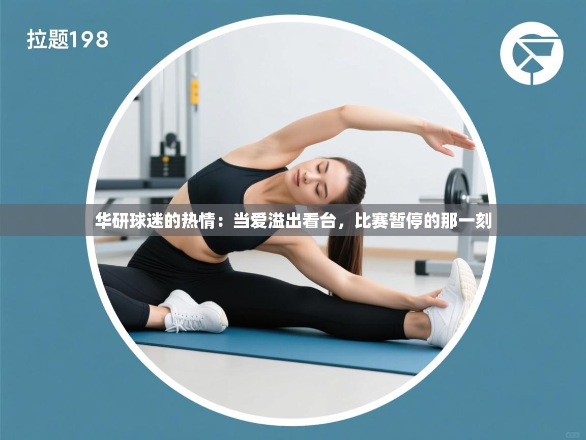 华研球迷的热情:当爱溢出看台,比赛暂停的那一刻 第1张